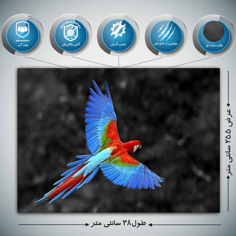 استیکر لپ تاپ طرح Macaw کد p-1178 مناسب برای لپ تاپ 15.6 اینچ