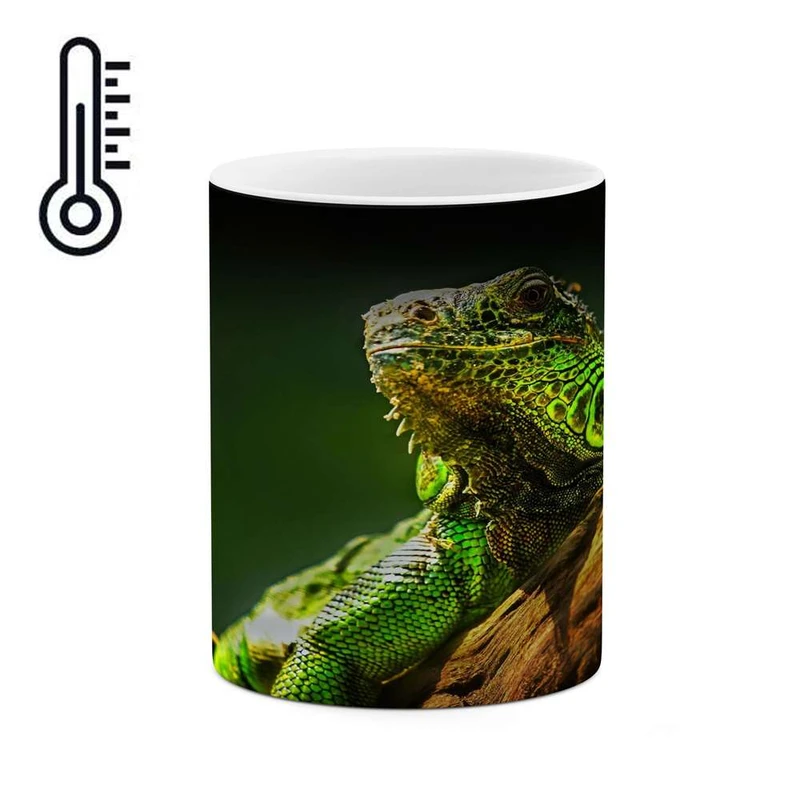 ماگ حرارتی کاکتی مدل مارمولک کد mgh16736