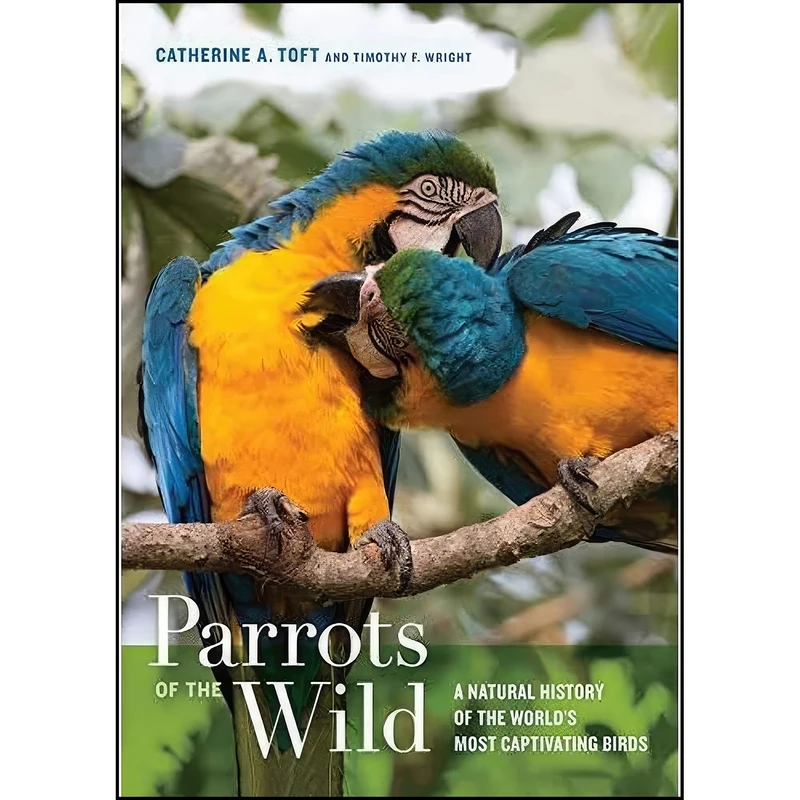 کتاب Parrots of the Wild اثر جمعي از نويسندگان انتشارات University of California Press