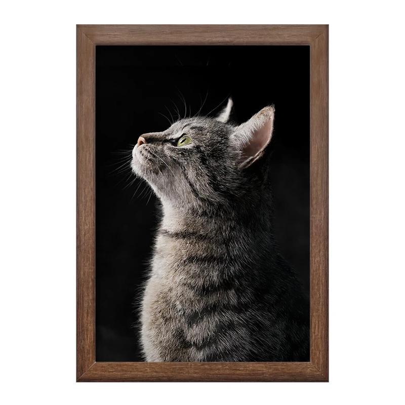 تابلو خندالو طرح گربه (Cat) کد F588