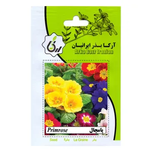 بذر گل پامچال آرکا بذر ایرانیان کد A61