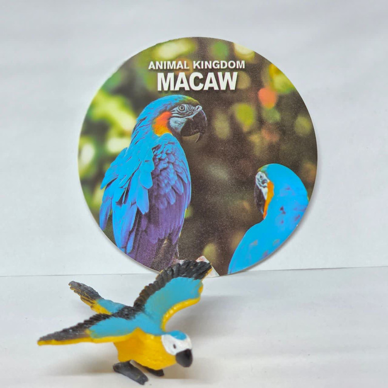 فیگور ناب سل مدل طوطی ماکائو کد MACAW NAAB023 ارتفاع 3 سانتی متر