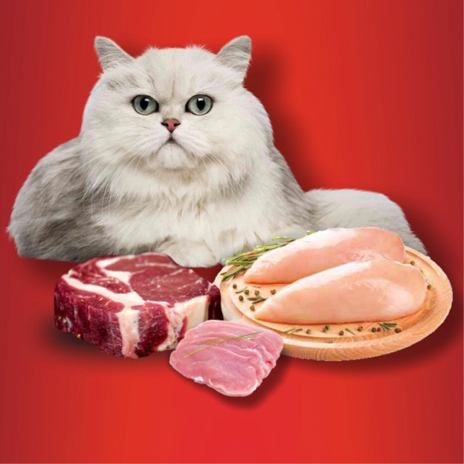 کنسرو گربه پابلو مدل گوشت خالص گوساله وزن 400 گرم