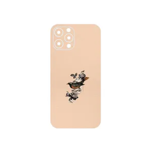 MAHOOT Collage of surreal Portrait of Women 2 Cover Sticker for Apple iPhone 12 Pro Max
