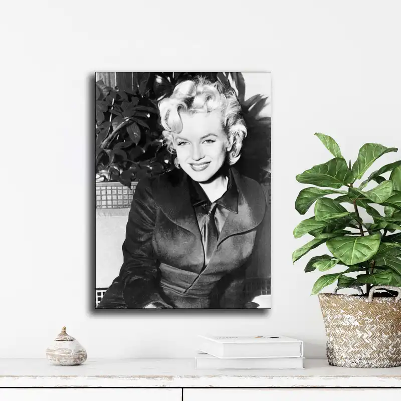 تابلو شاسی آتریسا مدل  مرلین مونرو