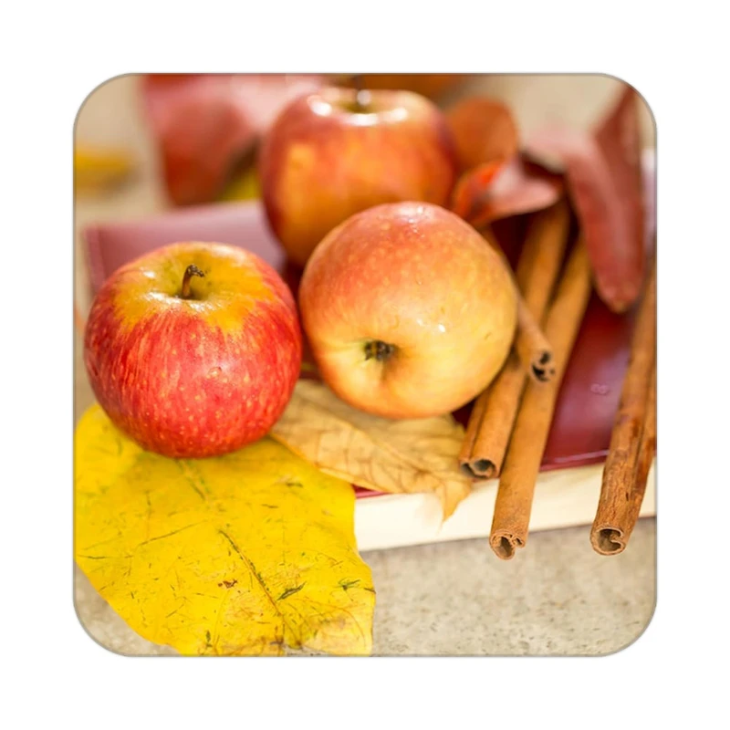 زیر لیوانی کاکتی طرح میوه مدل mp19863