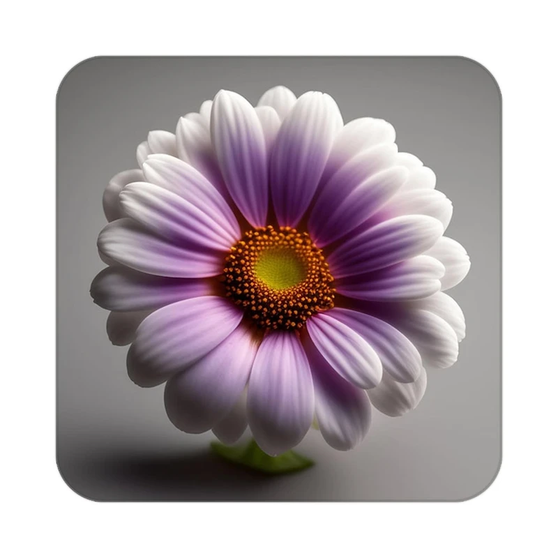 زیر لیوانی کاکتی طرح گل مدل mp18562