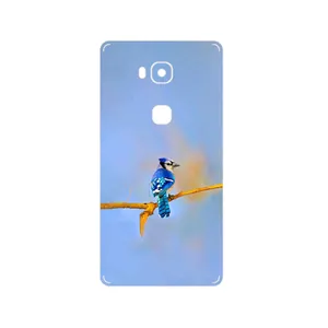 MAHOOT Cyanocitta cristata Cover Sticker for Honor 5X