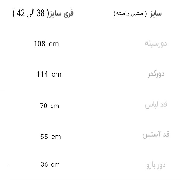 شومیز آستین بلند زنانه لوناکوک مدل یقه خرگوشی