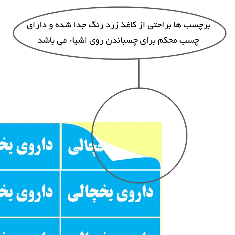 عکس شماره 4