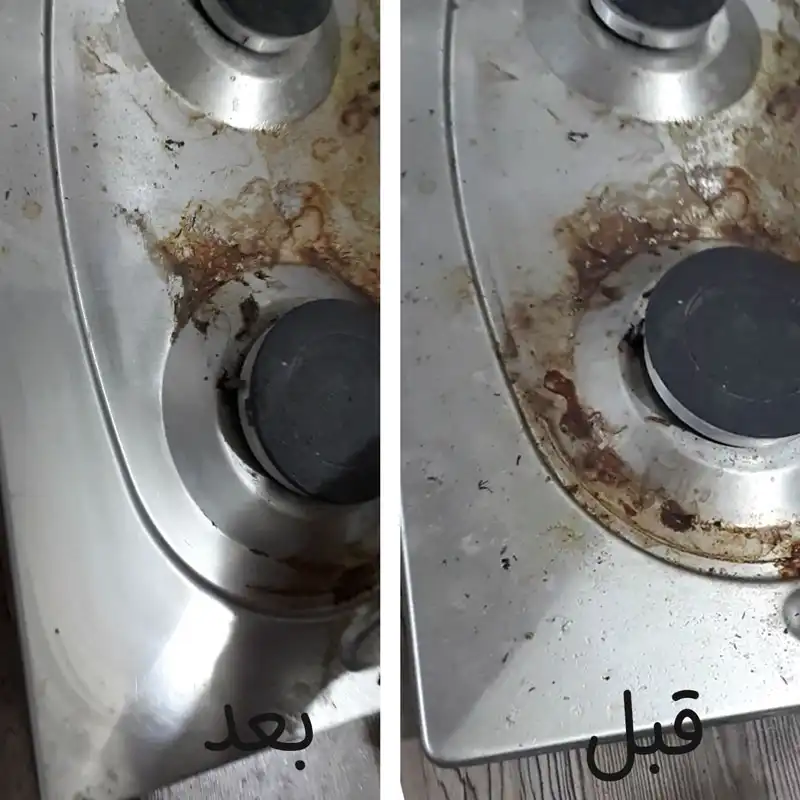 اسفنج همه کاره پاکوپیس کد 001