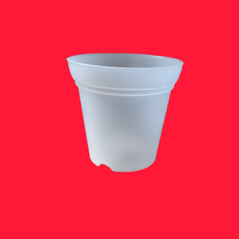 گلدان مدل شفاف ارکیده کد 12 بسته 6 عددی