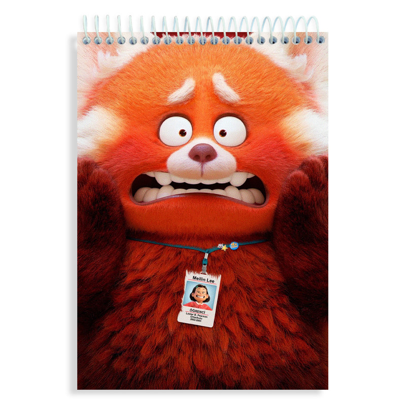  دفتر نقاشی 60 برگ های تولد مدل می لی کد N293 