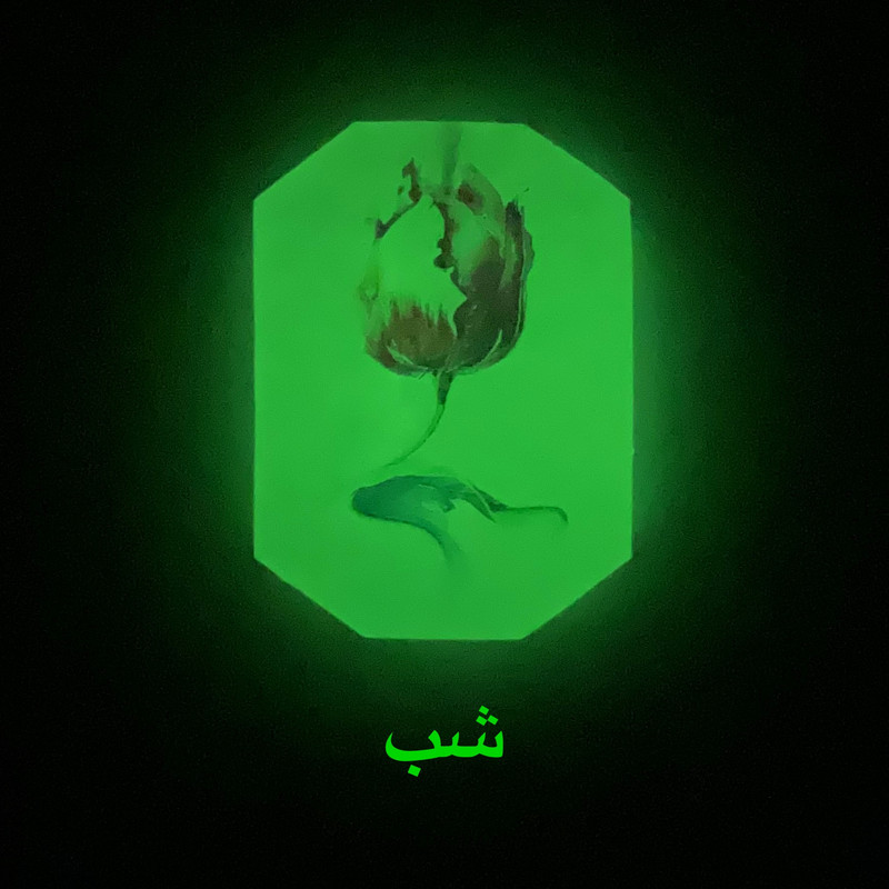 گردنبند مدل شب تاب B26 گردنبند مدل شب تاب B26