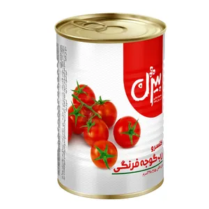 کنسرو رب گوجه فرنگی بیژن - 380 گرم 