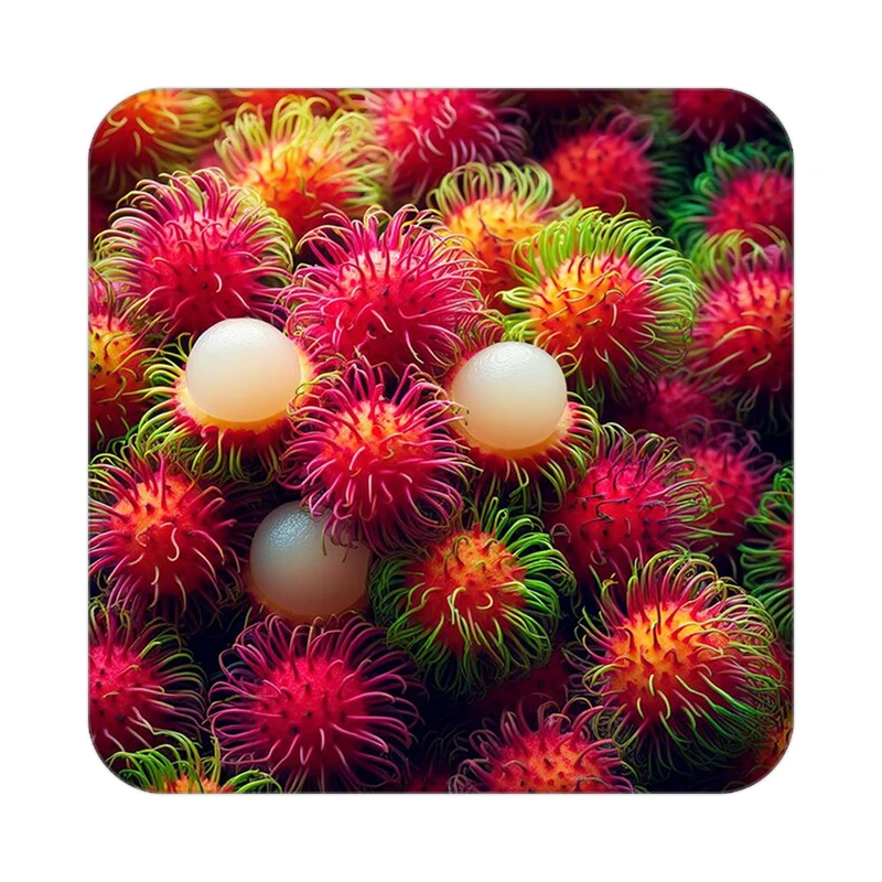 زیر لیوانی کاکتی طرح میوه مدل mp20206