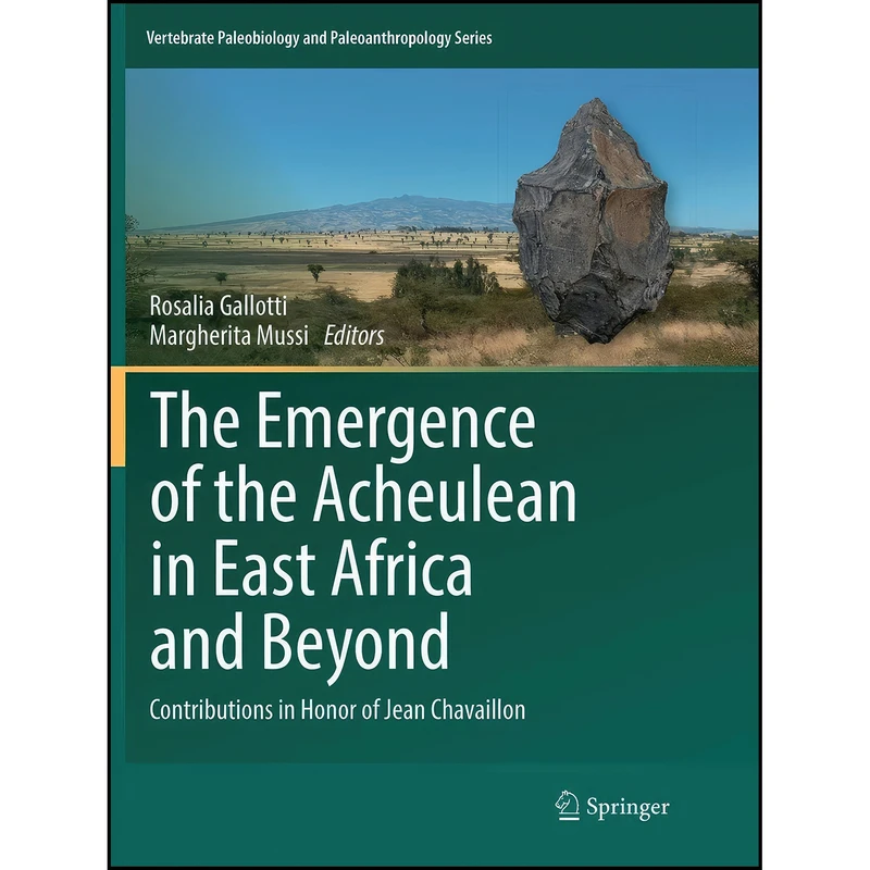 کتاب The Emergence of the Acheulean in East Africa and Beyond اثر جمعي از نويسندگان انتشارات Springer