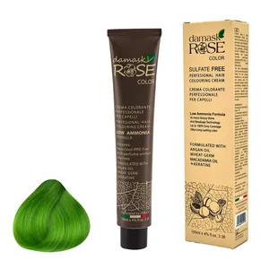 رنگ مو داماسک رز شماره PR27 حجم 100 میلی لیتر رنگ سبز فشن