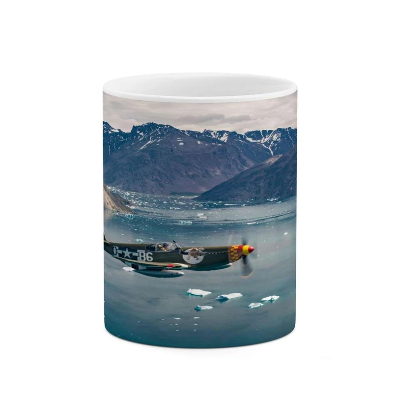 ماگ کاکتی مدل هواپیما کد mgh14581