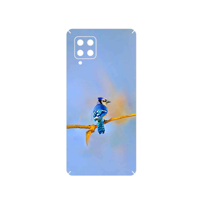 برچسب پوششی ماهوت مدل Cyanocitta cristata مناسب برای گوشی موبایل سامسونگ Galaxy A42