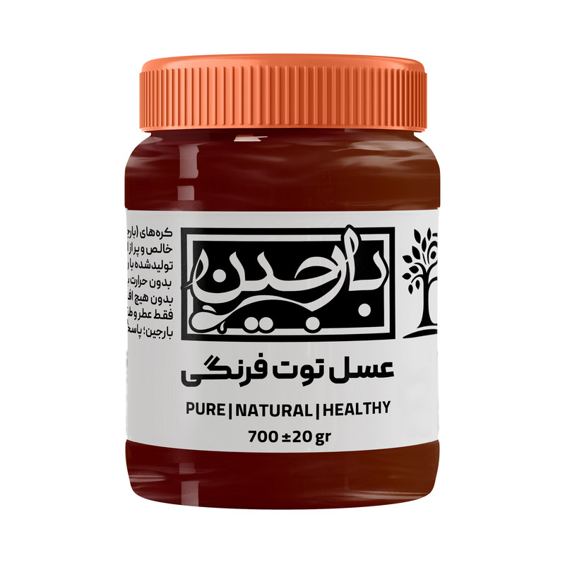 عسل توت فرنگی عموعطار بارجین _ 700 گرم 