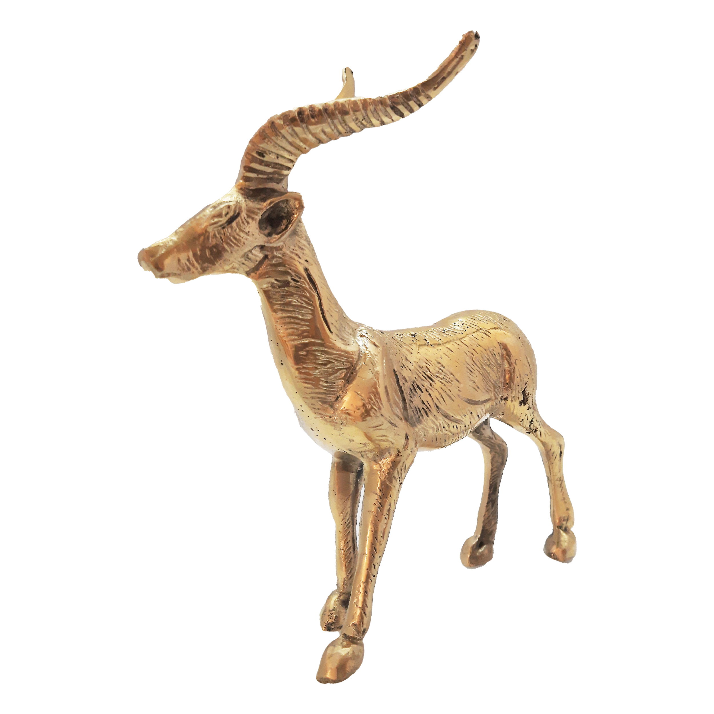 مجسمه مدل بز کوهی وحشی