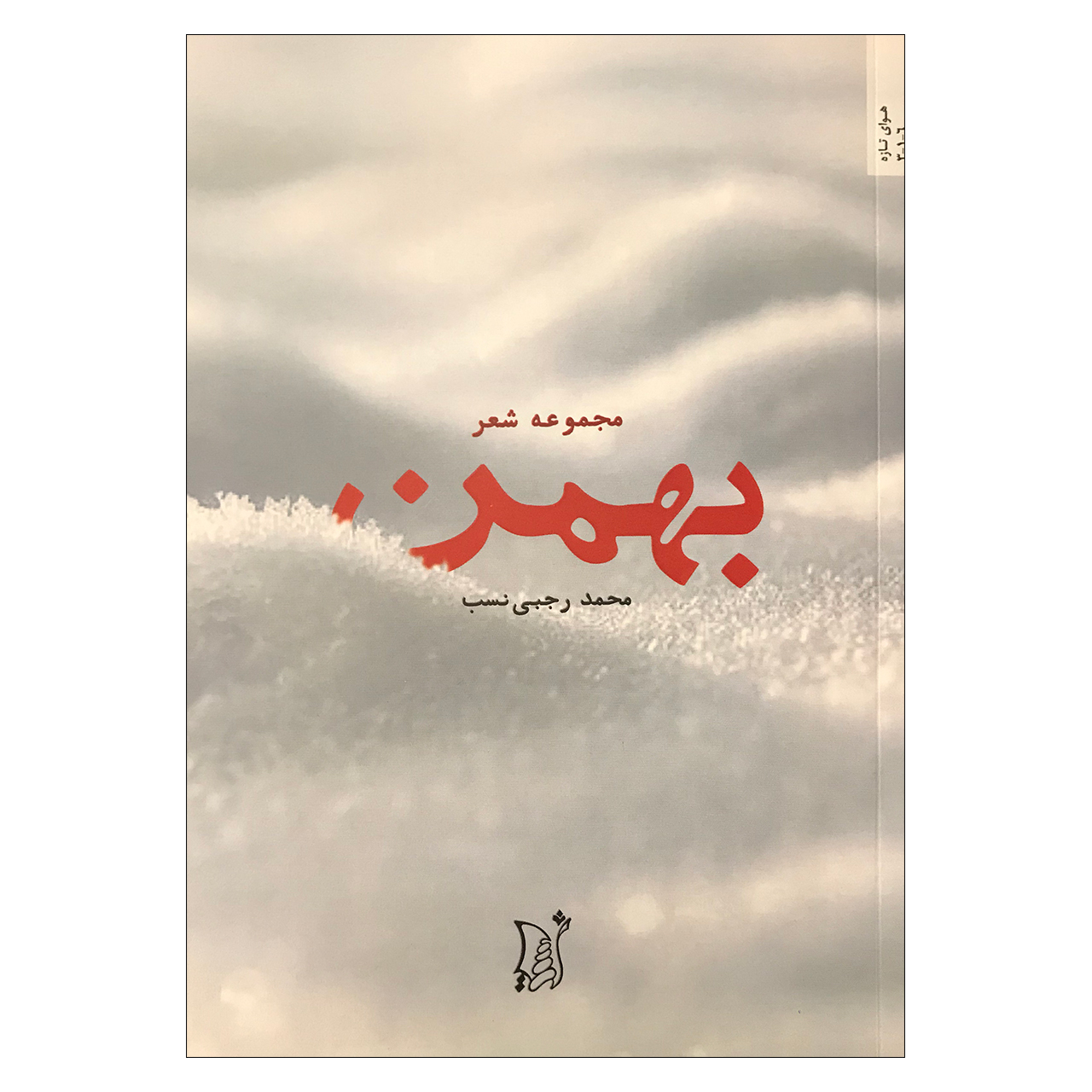 کتاب مجموعه شعر بهمن اثر محمد رجبی نسب انتشارات اریش