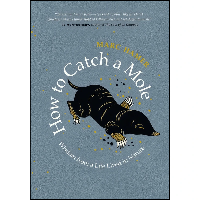 کتاب How to Catch a Mole اثر Marc Hamer انتشارات Greystone Books