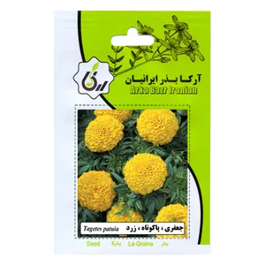 بذرجعفری پا کوتاه زردآرکا بذر ایرانیان مدل C58