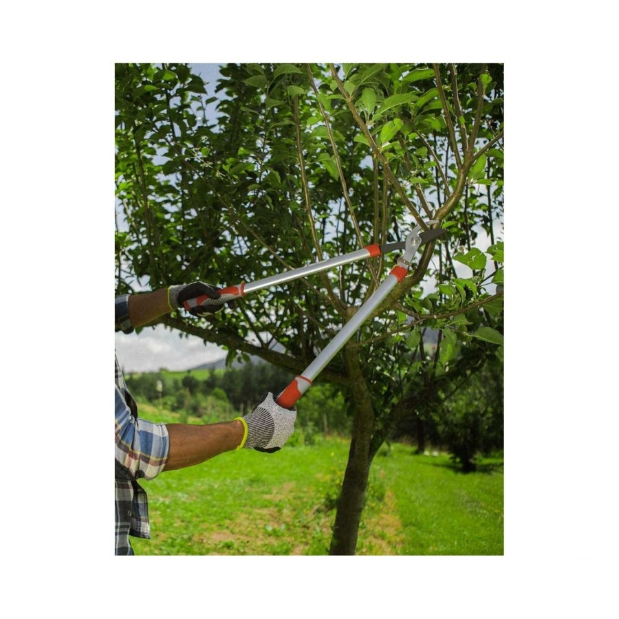 قیچی شاخه زن آلتونا مدل J445