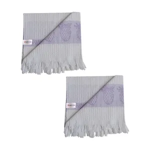 دستمال آشپزخانه تام کلین مدل TC-HC002C بسته 2 عددی