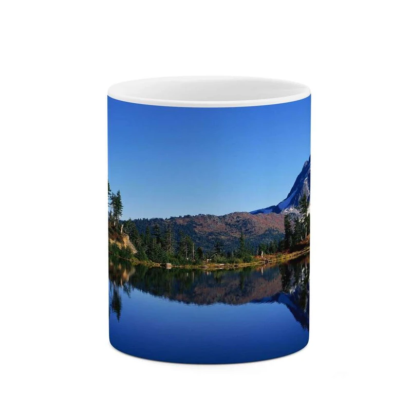 ماگ کاکتی مدل منظره کد mgh15988