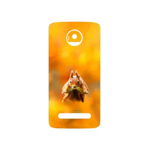 MAHOOT Squirrel Cover Sticker for Motorola Moto Z2 Play