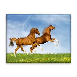 کاشی اطلس آبی طرح اسب و آسمان مدل T5838