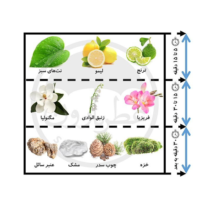 ادو پرفیوم مردانه زوا مدل اسپلندور  حجم 100 میلی لیتر