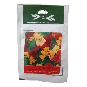 بذر لادن پاکوتاه قهوه ای وانیا سید کد O181