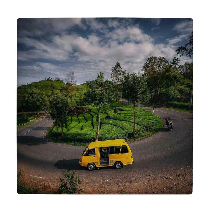  زیر لیوانی طرح جاده جنگلی کد    3540248_1406