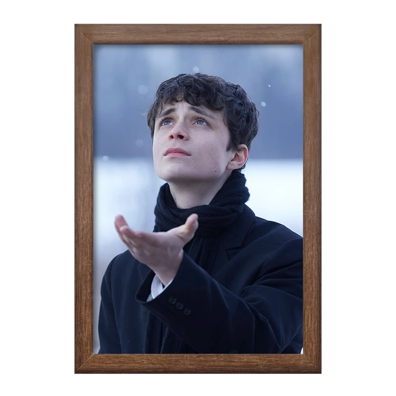 تابلو خندالو طرح گیلبرت سریال آنشرلی کد 28988