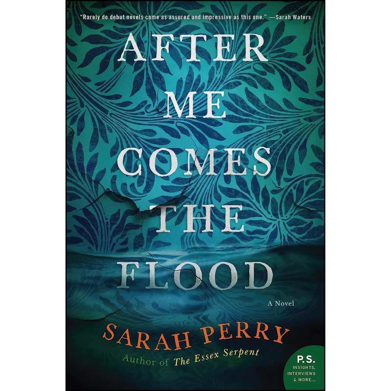 کتاب After Me Comes the Flood اثر Sarah Perry انتشارات Custom House