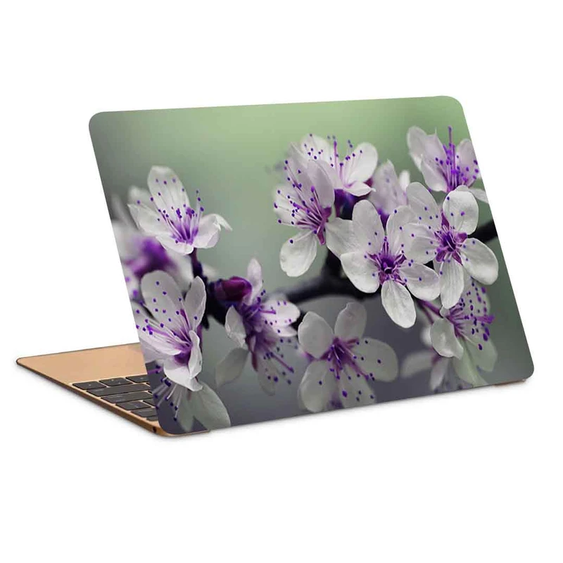 استیکر لپ تاپ طرح branch flowering cherry springکد P-667 مناسب برای لپ تاپ 15.6 اینچ