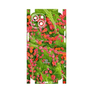 MAHOOT Atom Universe 3-FullSkin Cover Sticker for Apple iPhone 13