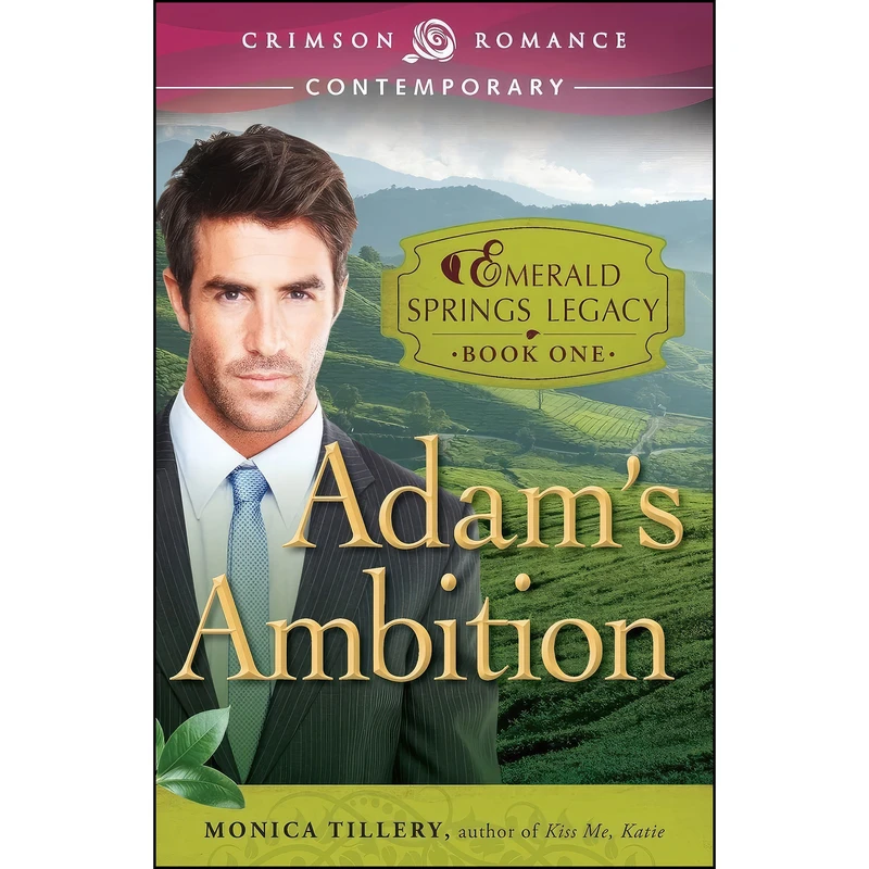 کتاب Adams Ambition  اثر Monica Tillery انتشارات Adams Media