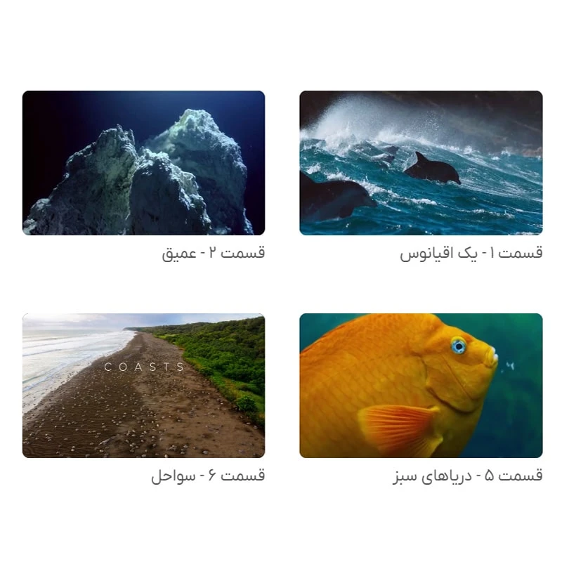 عکس شماره 8 : مستند سیاره آبی دو blue planet ii اثر دیوید اتنبرو نشر لیمو استور