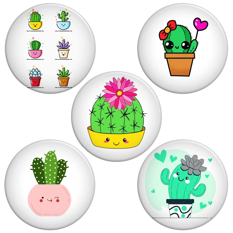 پیکسل گالری باجو طرح کاکتوس کد cactus 6 مجموعه 5 عددی