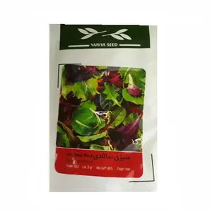 بذر سبزی سالادی وانیاسید کد S63-1
