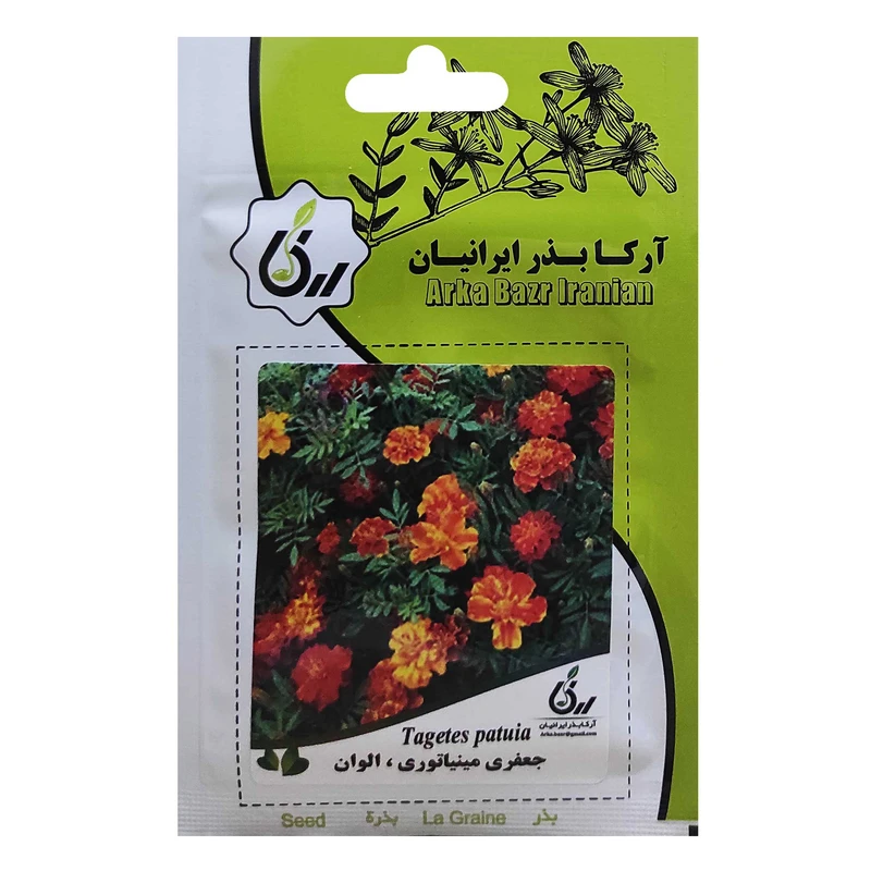 بذر جعفری مینیاتوری الوان آرکا بذر ایرانیان کد ARK-029