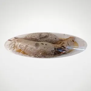 عسل موم سر شاخه کنار-1000 گرم