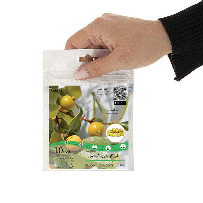 بذر میوه گواوا زرد گیلاسی توت فرنگی گلس گاردن مدل GL10