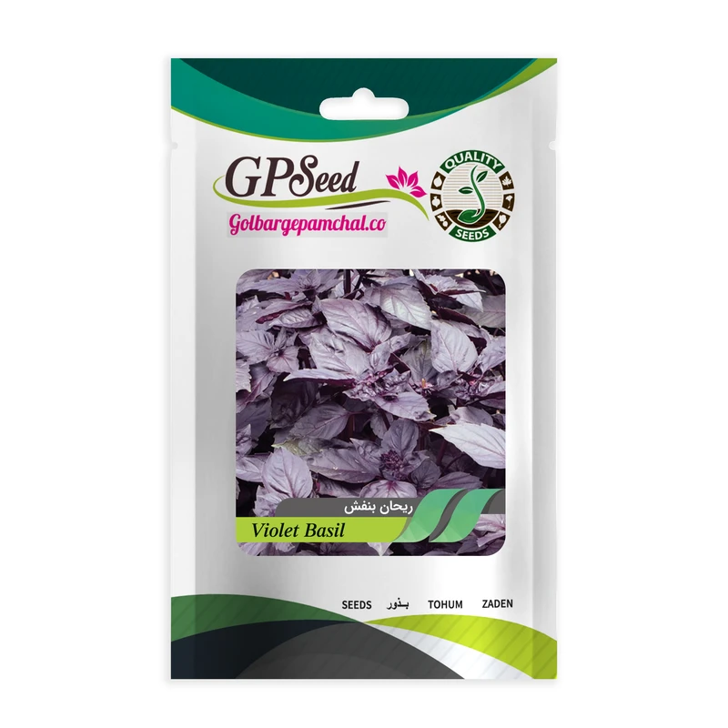 بذر ریحان بنفش گلبرگ پامچال کد GPF-150