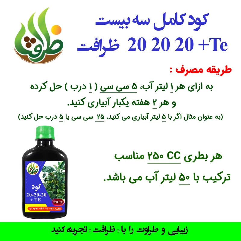 عکس شماره 3